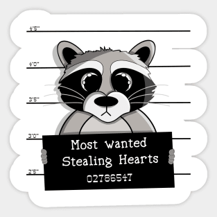 Wanted Raccoon I Steal Hearts Sticker